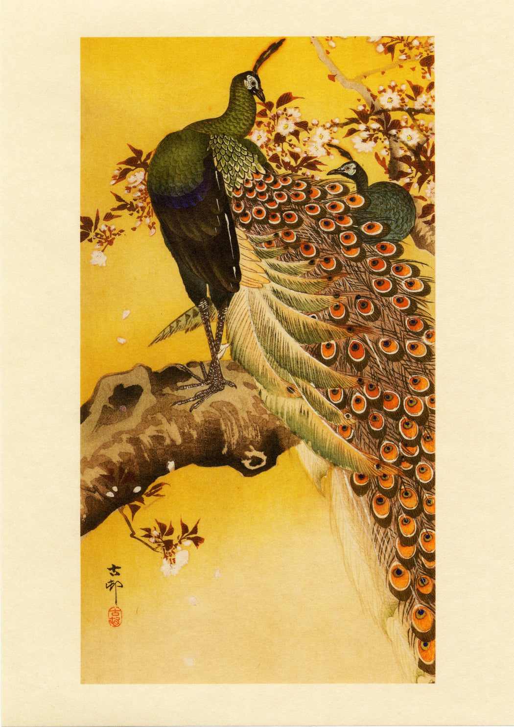 桜と孔雀 Ohara Koson , 9" x 12” Tosa Japanese paper ,washi