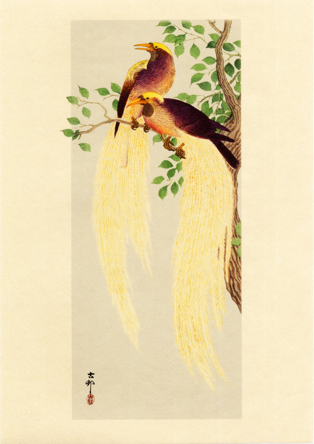 Pair of Long-tailed Birds, 9" x 12"- Ohara Koson, Tosa Japanese paper