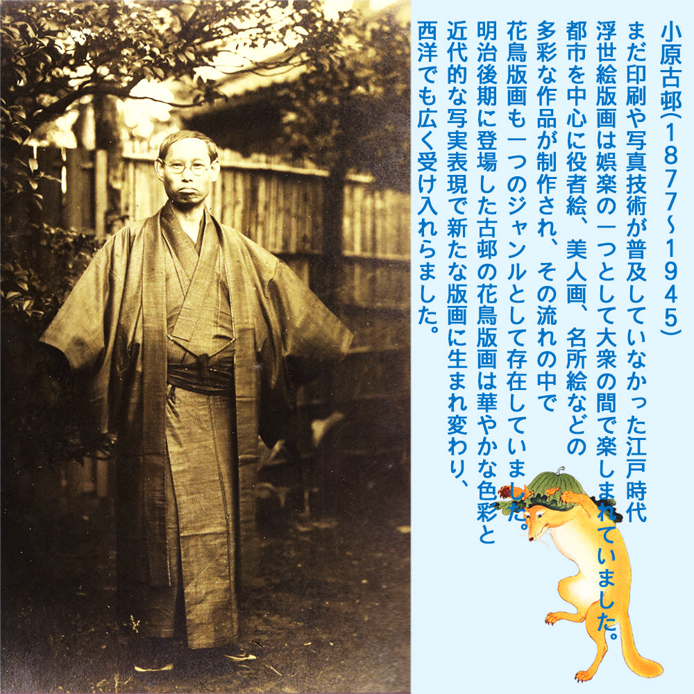 柳とツバメ / 小原古邨 木版画複製 マット紙 A4 フレーム入り(艶消し黒)