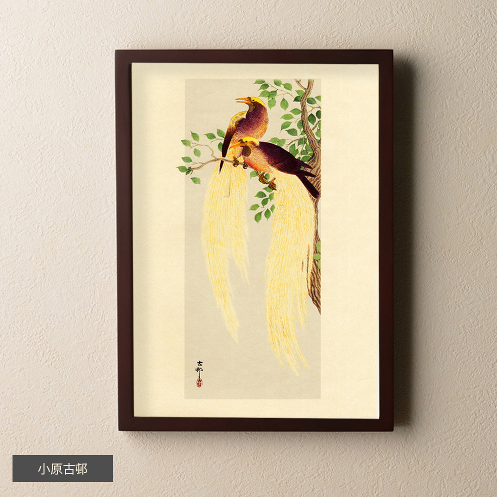 Pair of Long-tailed Birds, 9" x 12"- Ohara Koson, Tosa Japanese paper