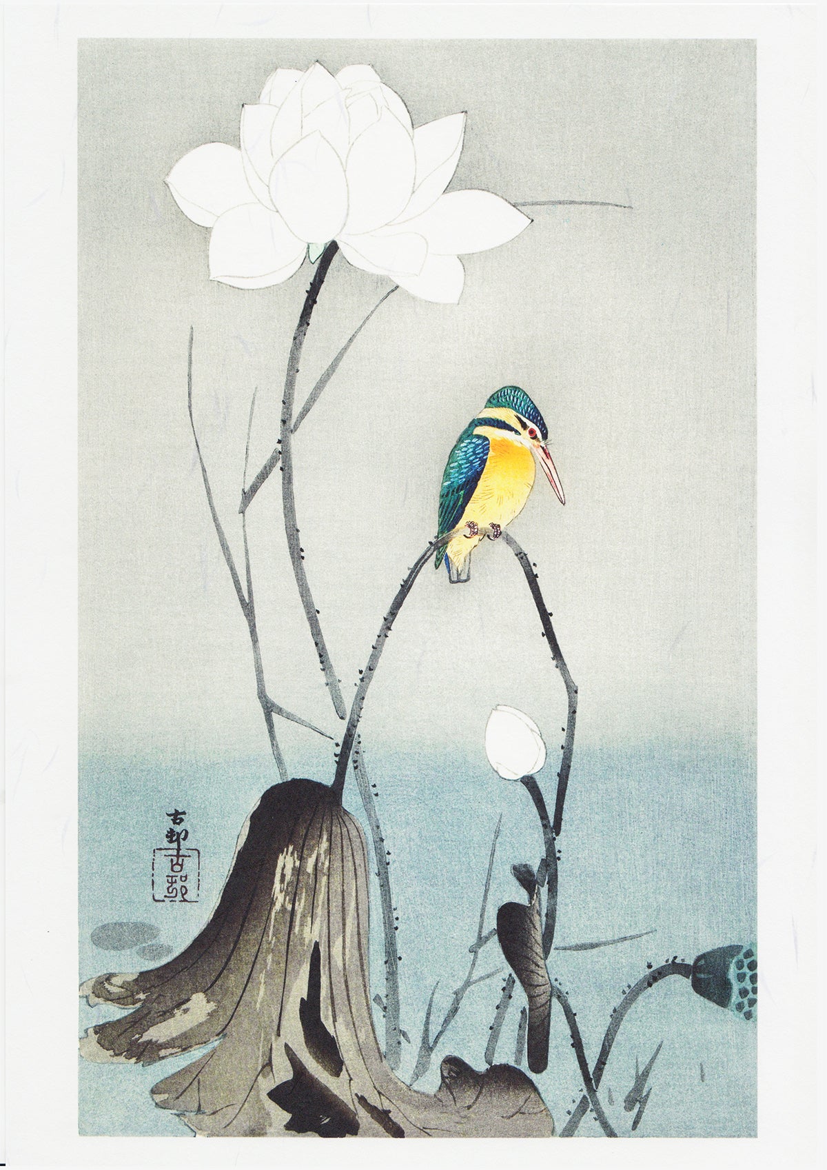 蓮の三作/小原古邨  木版画複製　しこくてんれい（和紙の風合い）花鳥風月　