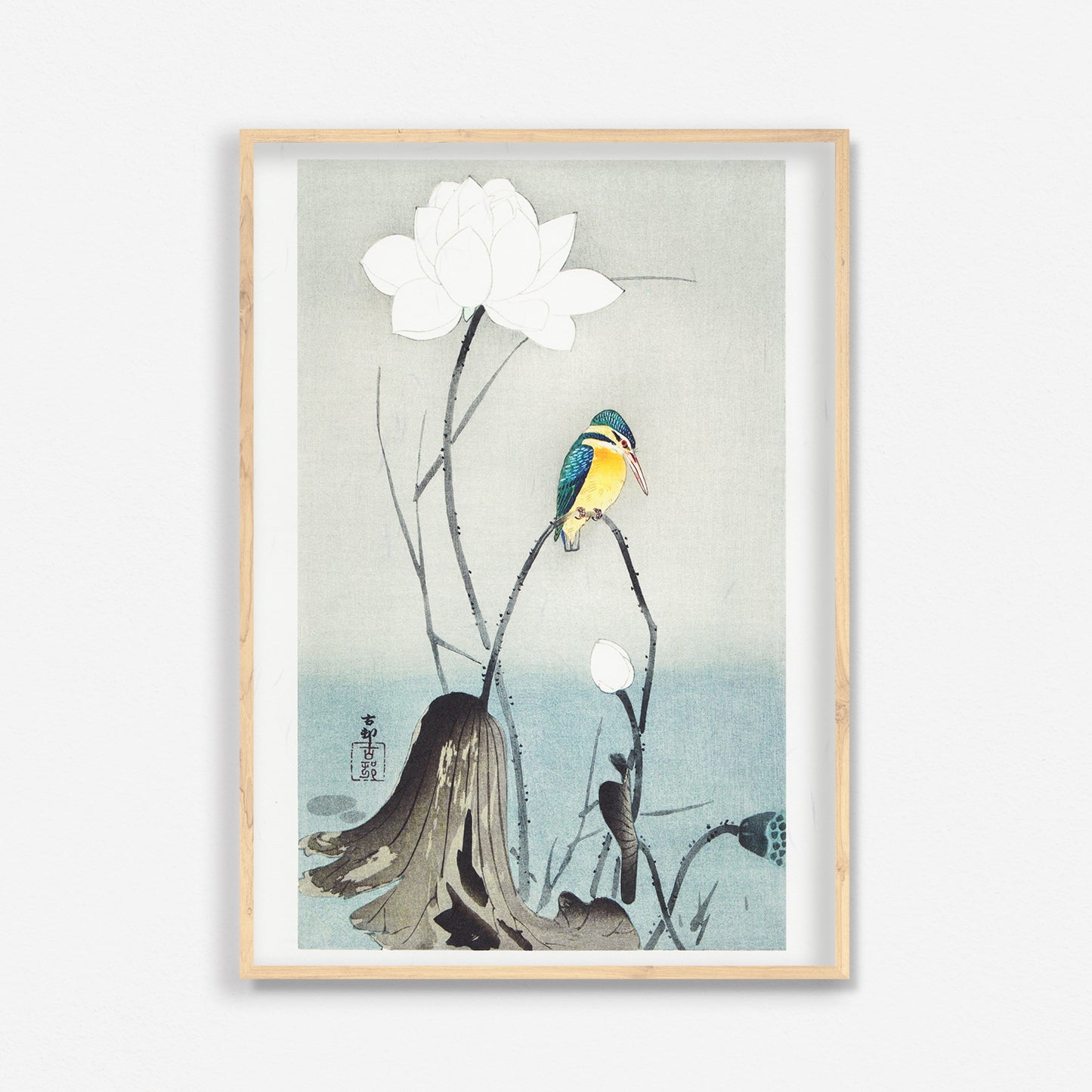 蓮の三作/小原古邨  木版画複製　しこくてんれい（和紙の風合い）花鳥風月　