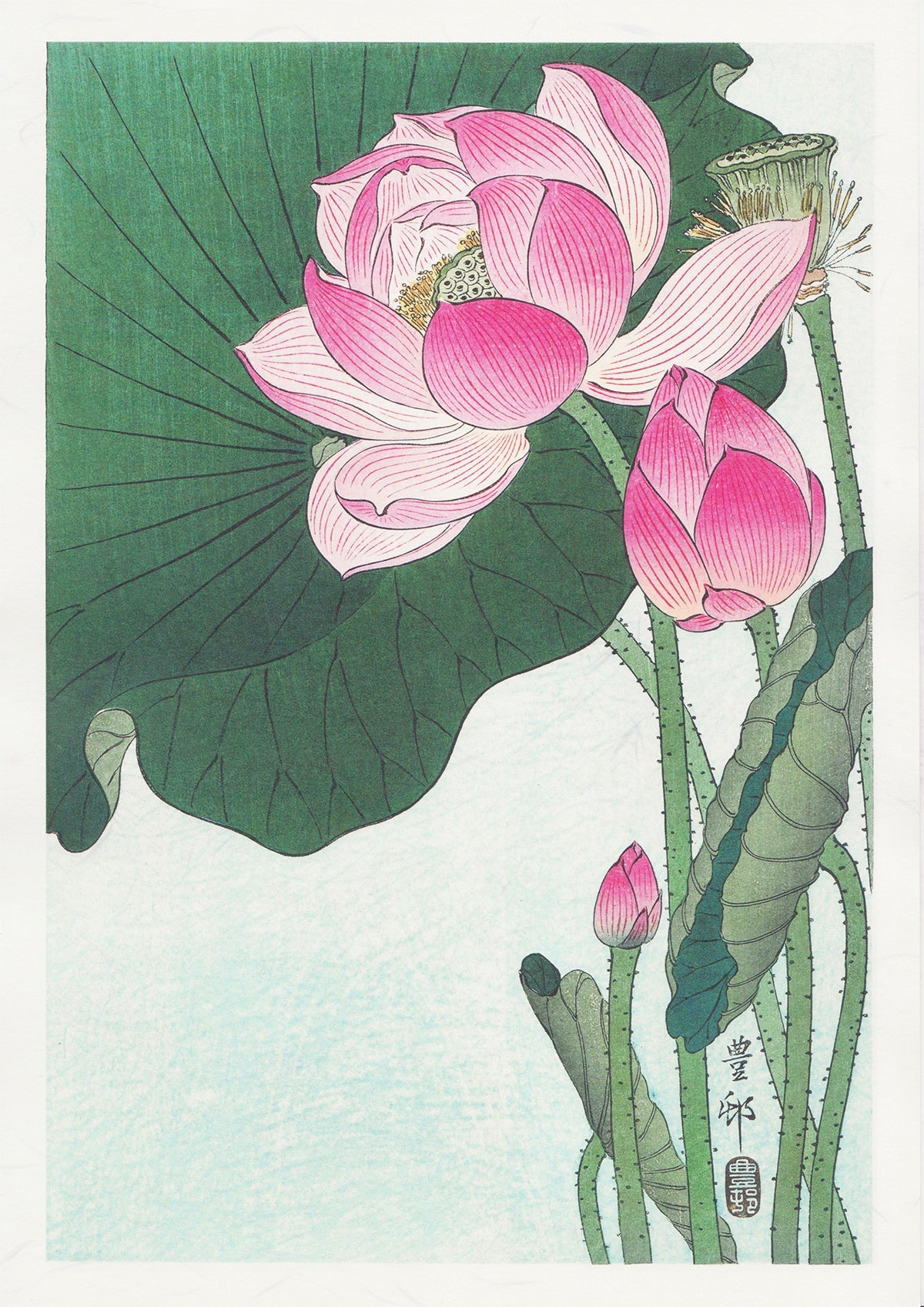 蓮の三作/小原古邨  木版画複製　しこくてんれい（和紙の風合い）花鳥風月　