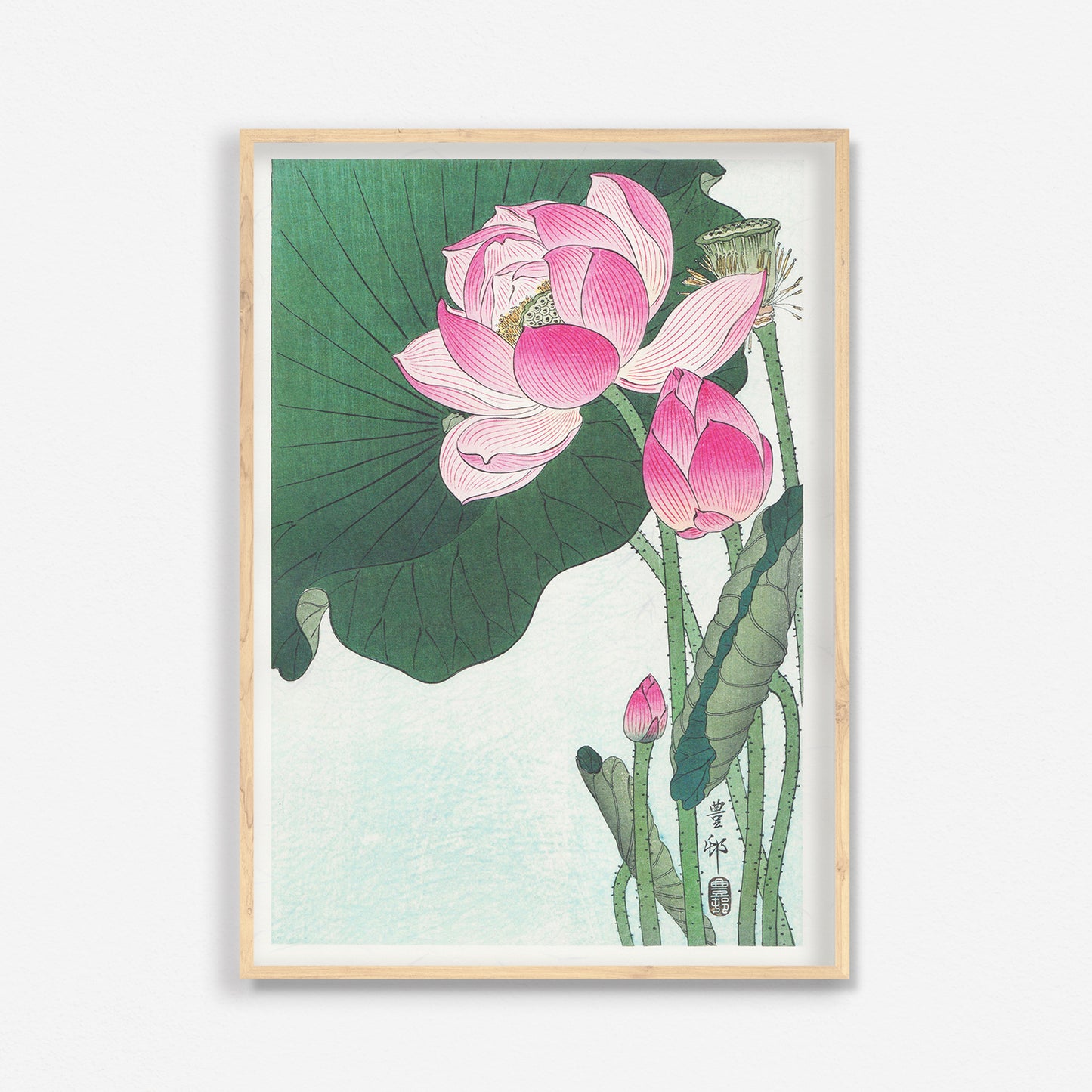 蓮の三作/小原古邨  木版画複製　しこくてんれい（和紙の風合い）花鳥風月　