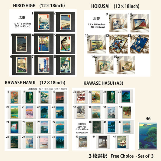 自由選択  ３枚セット/A3サイズ、12×18インチ