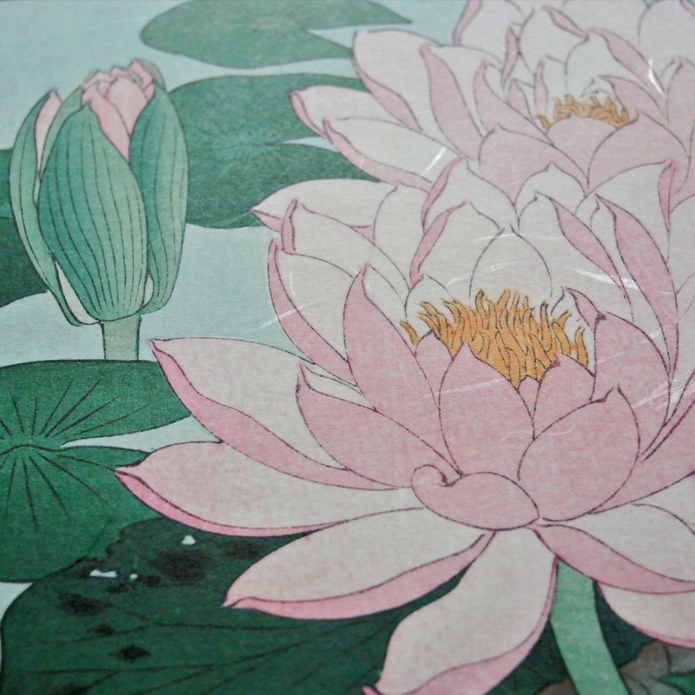蓮の三作/小原古邨  木版画複製　しこくてんれい（和紙の風合い）花鳥風月　
