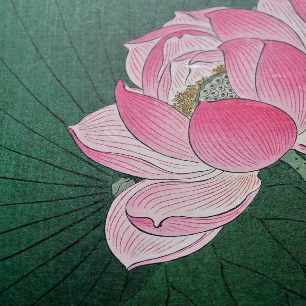 蓮の三作/小原古邨  木版画複製　しこくてんれい（和紙の風合い）花鳥風月　