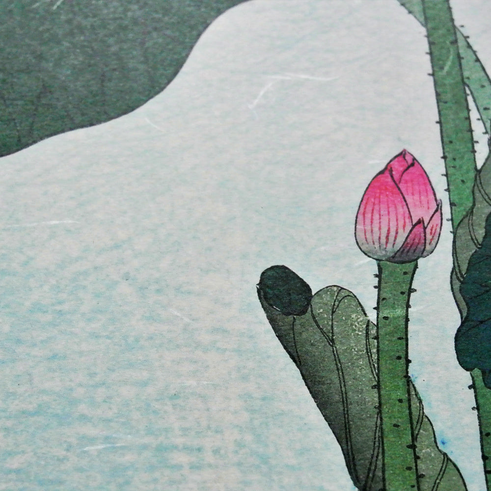 蓮の三作/小原古邨  木版画複製　しこくてんれい（和紙の風合い）花鳥風月　