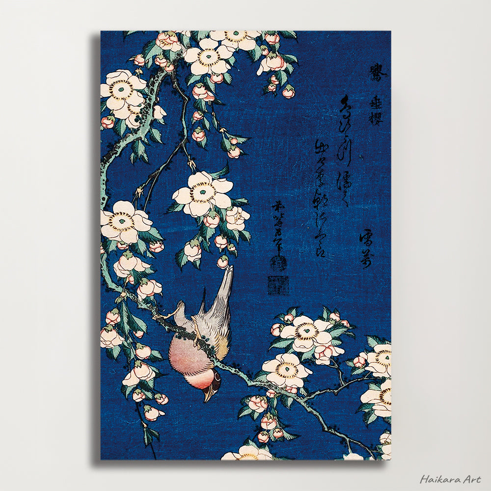 鷽に垂桜  12×18 / 葛飾北斎